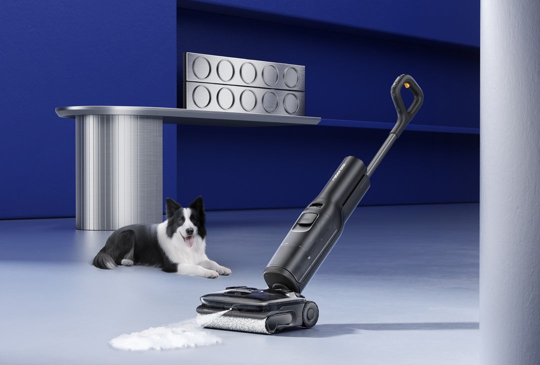 Làm sao để giữ nhà khô thoáng và khử mùi khi thời tiết nồm ẩm?