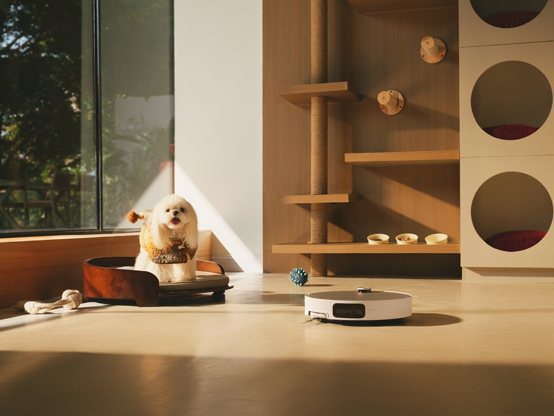 Vì sao nên trải nghiệm robot hút bụi trước khi quyết định mua?