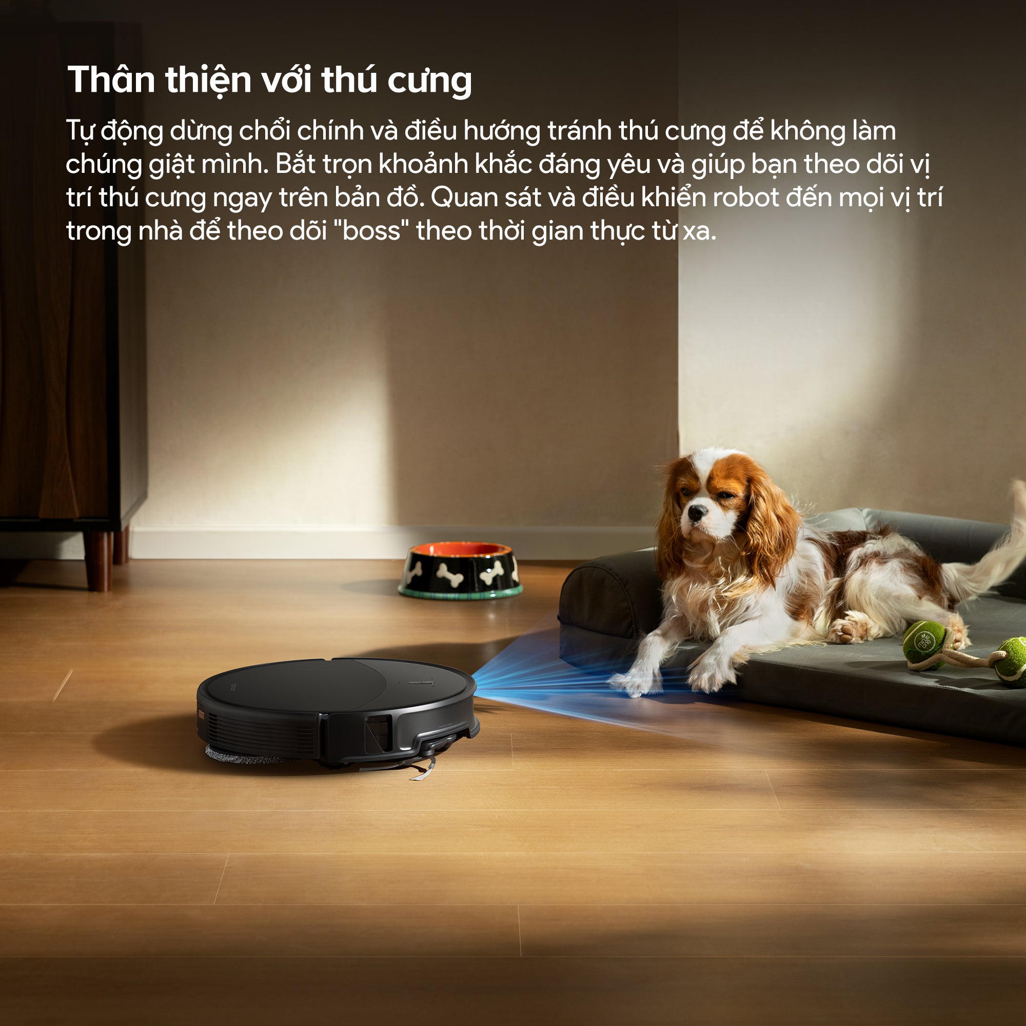 Product Listings Pet 2000x2000 436ac06c 9a45 42fd a6ef 84208553fc70 - V - Tech Việt Nam - Vua Công Nghệ